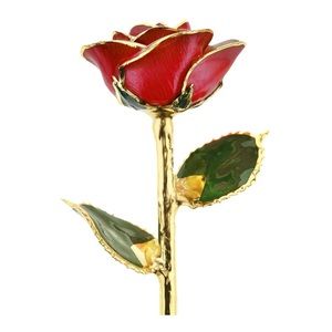 24k Gold Dipped Rose by “I Hate Steven Singer” jewelry brand located in Philly